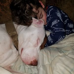 Meet your Posher, Cara